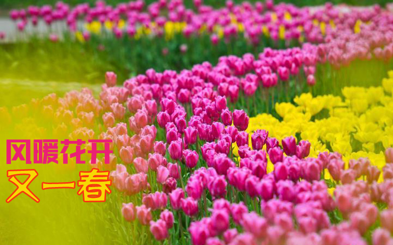 178期(二月)征稿話題